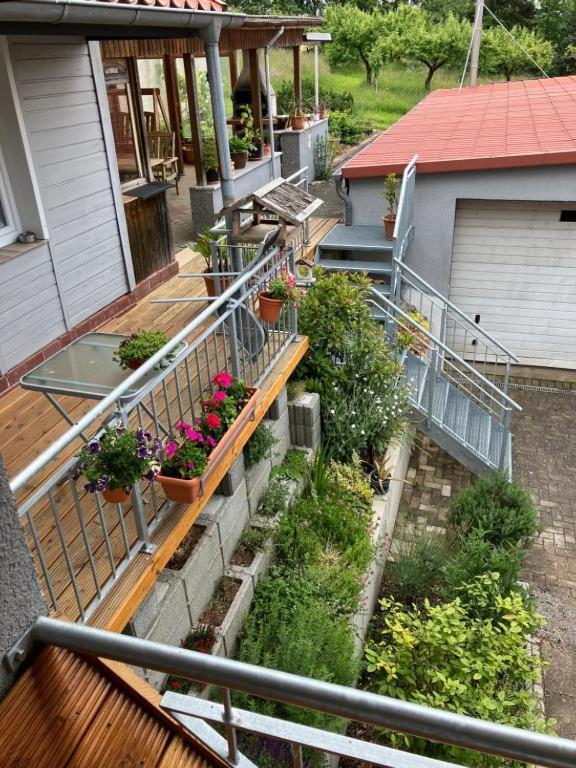 Pension Volgenandt Breitenbach Exterior foto